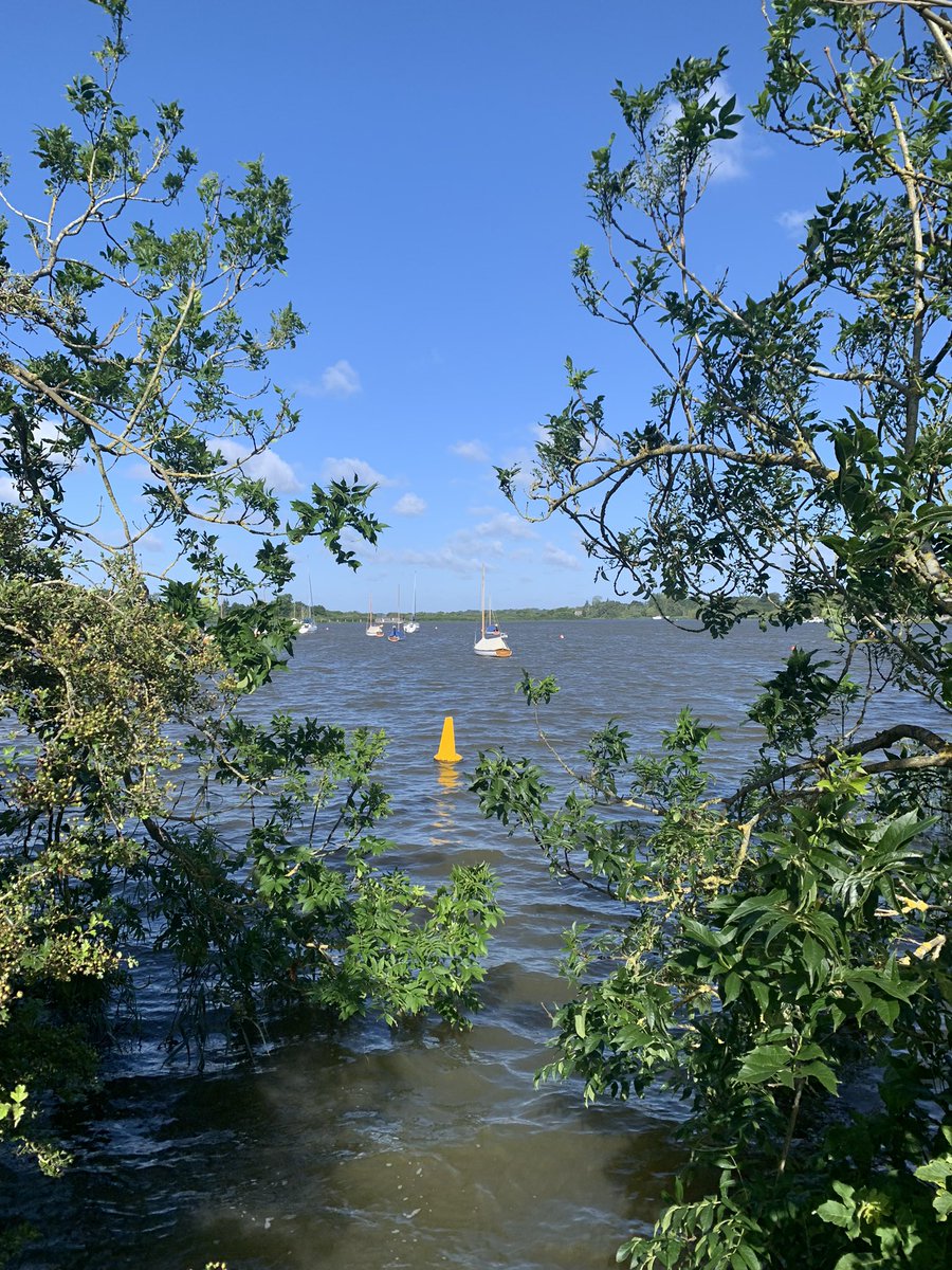 TonyArmstrongDT's tweet photo. The waters may be a little choppy but the sun is shining so don’t duck out on the chance to vote today! #Democracy #Elections2024 🌊 🌞 🦆 🗳️ https://t.co/OVsjMAIUOk