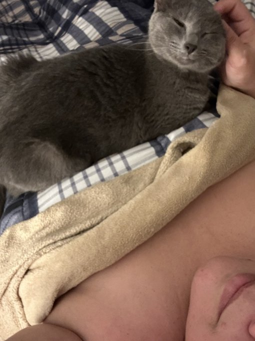 Back home after an amazing night at my neighbors house. Look who is my company now! https://t.co/sYN