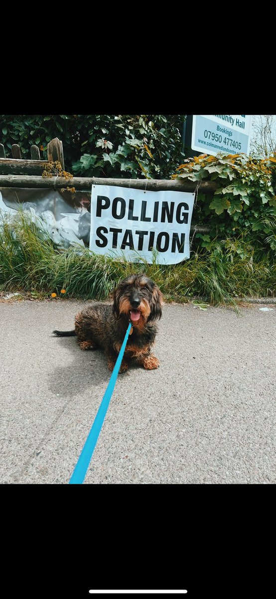 izzicoombes's tweet photo. Gus says Tories out. 

 #DogsAtPollingStations https://t.co/zLjjc0OBgk