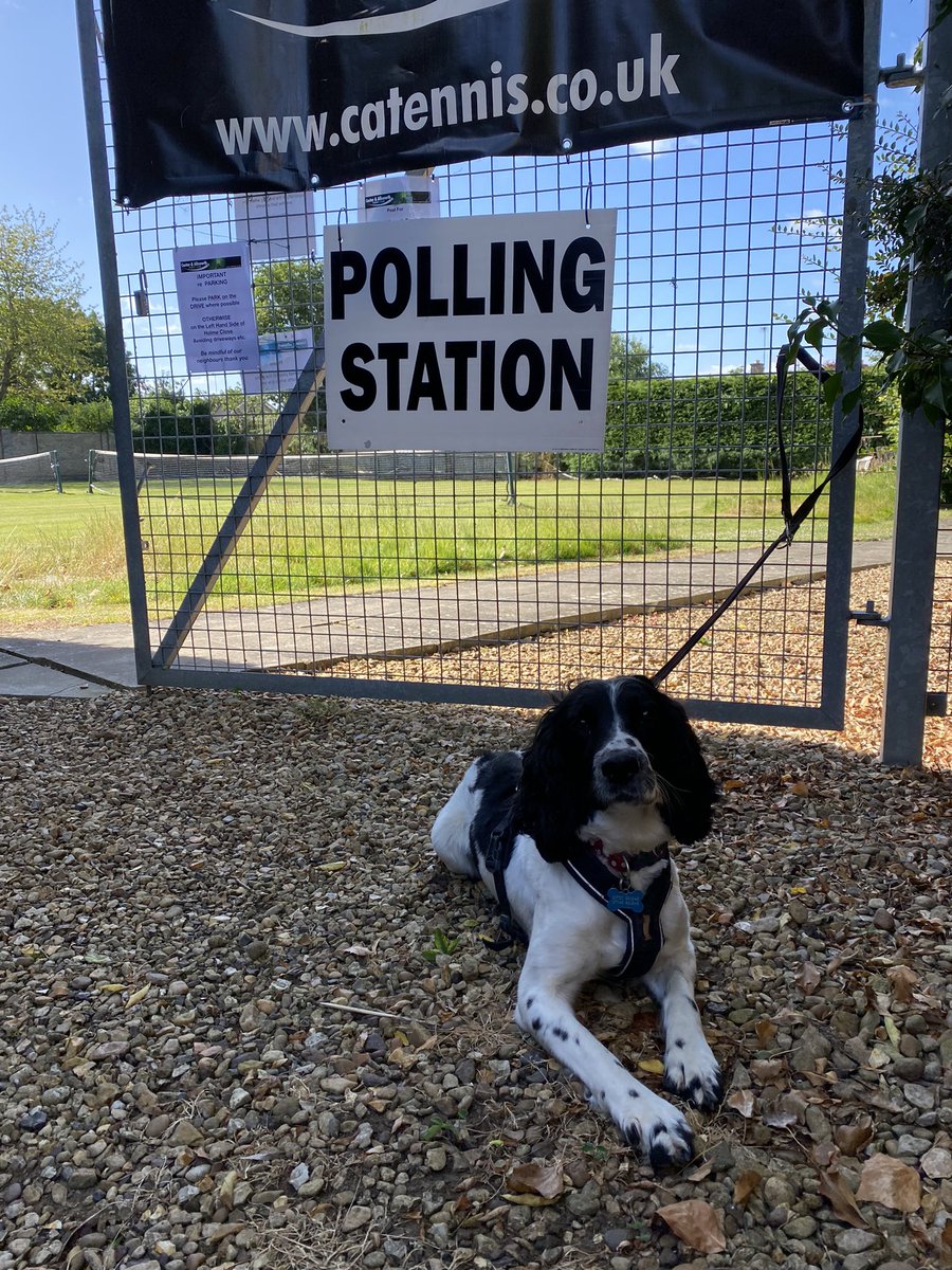 Jazz forgot her passport: no ID- no vote! #DogsAtPollingStations #VoteRivers #VoteChange #VoteForAFairerSociety
