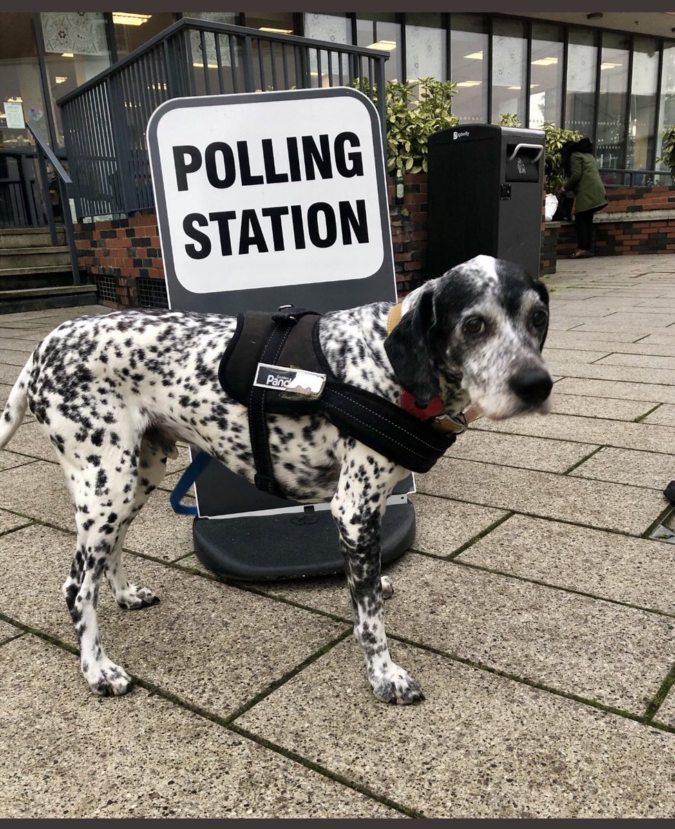 Education, education, education tweet media