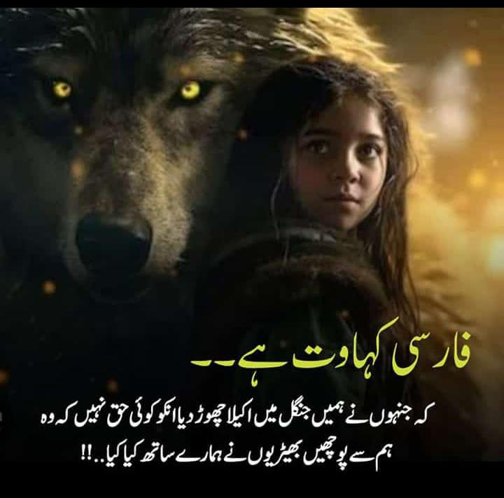 Zain Ijaz (@ijaz_zain71846) on Twitter photo 