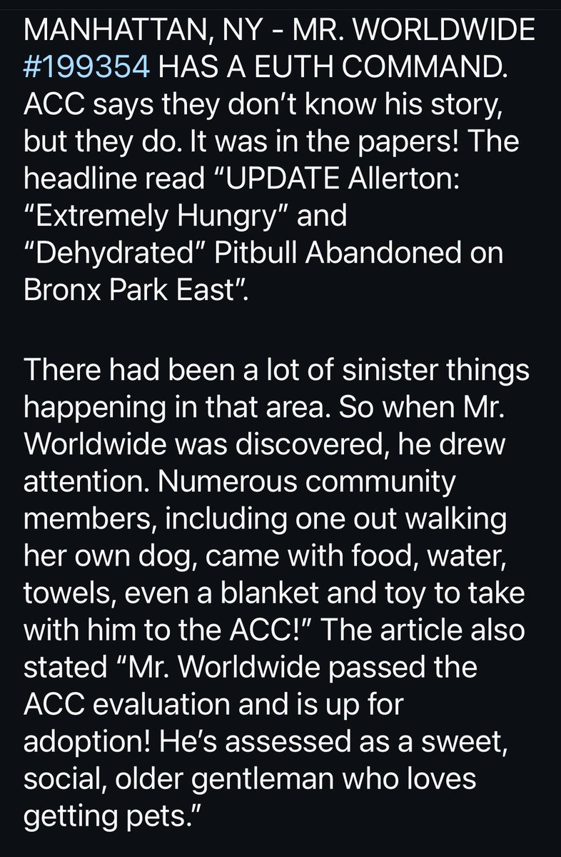 venetianblonde's tweet photo. Mr. Worldwide's story is here. A whole New York City neighborhood came together to save this dog. Unfortunately, they took him to the local shelter trusting that @NYCACC would find him a good home. Instead ACC kill commanded him.
Rescue him now, PLEASE. Pledge, foster, adopt.
RT https://t.co/AvRs229gvT