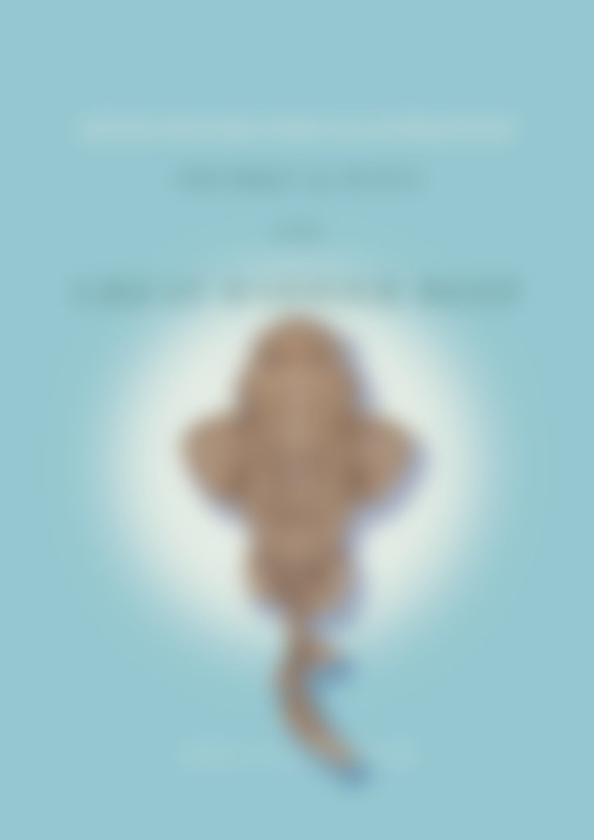 Dr Lindsay Marshall tweet media