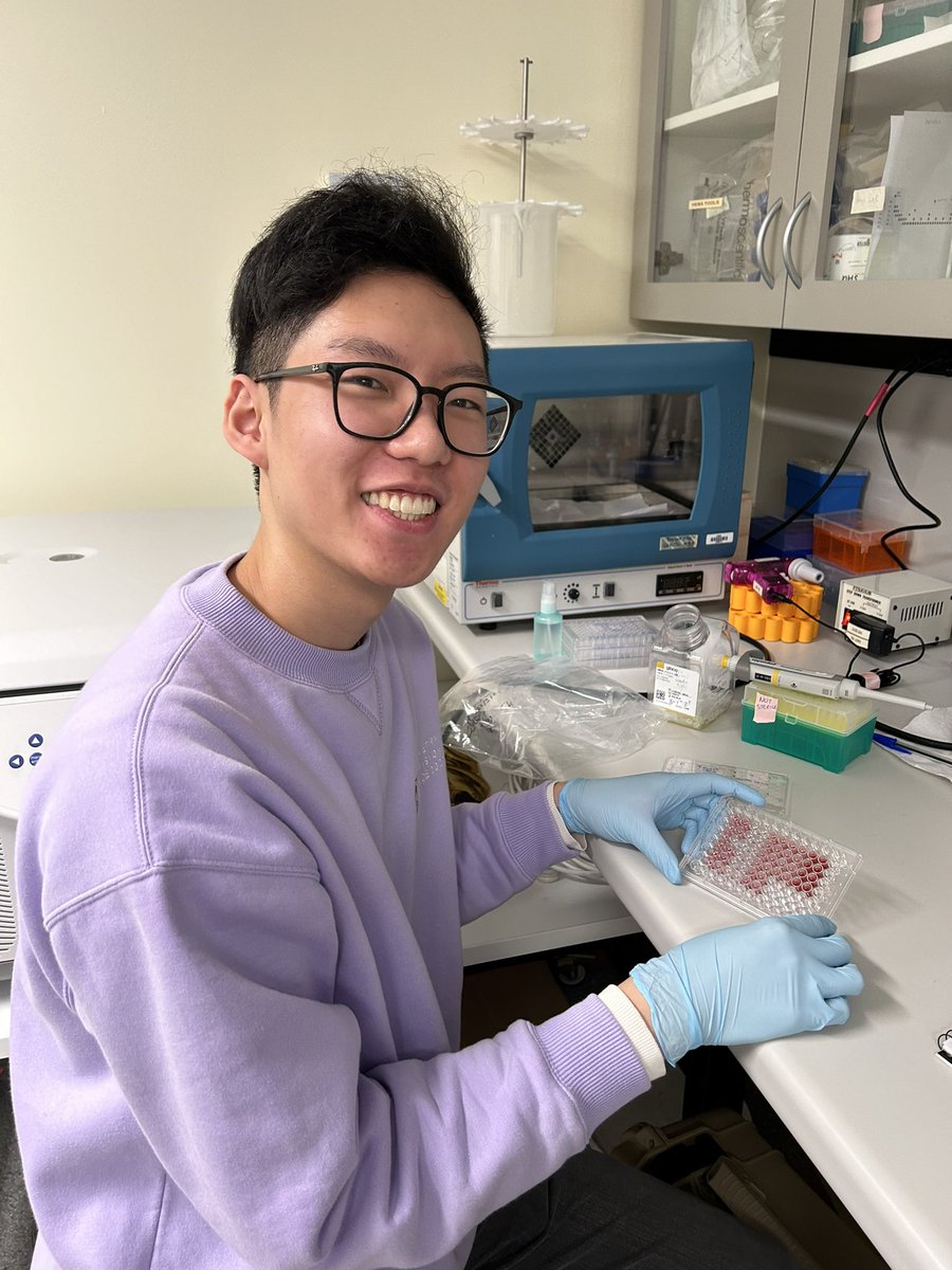 Daisy Shu (she/her/hers) (@eyedaisyshu) on Twitter photo So proud of my student Kelvin Huang on his first cytotoxicity assay! 🤩🤩 Well done Kelvin! <a href="/retinalresgroup/">Retinal Research Group (Shu Lab)</a> <a href="/UNSWoptomvsci/">UNSW School of Optometry and Vision Science</a> So proud of my student Kelvin Huang on his first cytotoxicity assay! 🤩🤩 Well done Kelvin! <a href="/retinalresgroup/">Retinal Research Group (Shu Lab)</a> <a href="/UNSWoptomvsci/">UNSW School of Optometry and Vision Science</a>