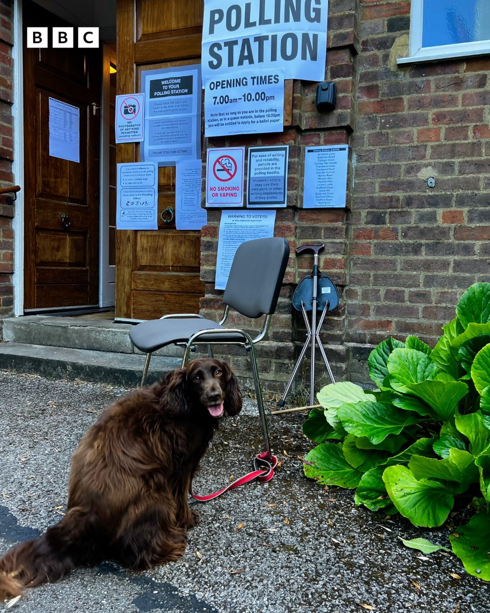 We're limited in what we can report between now and 22:00, when polls close, so expect to see plenty of pictures of dogs at polling stations in the meantime!

First up, it's Florence in Croxley Green who headed to the polling station bright and early. 

Comment your pets below!