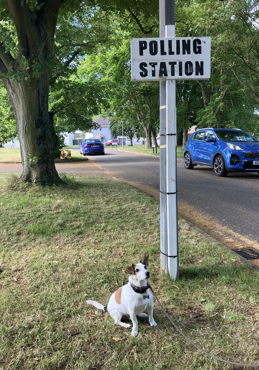 funnell_erin's tweet photo. @VotingDogs #DogsAtPollingStations https://t.co/kukPw4x9qj