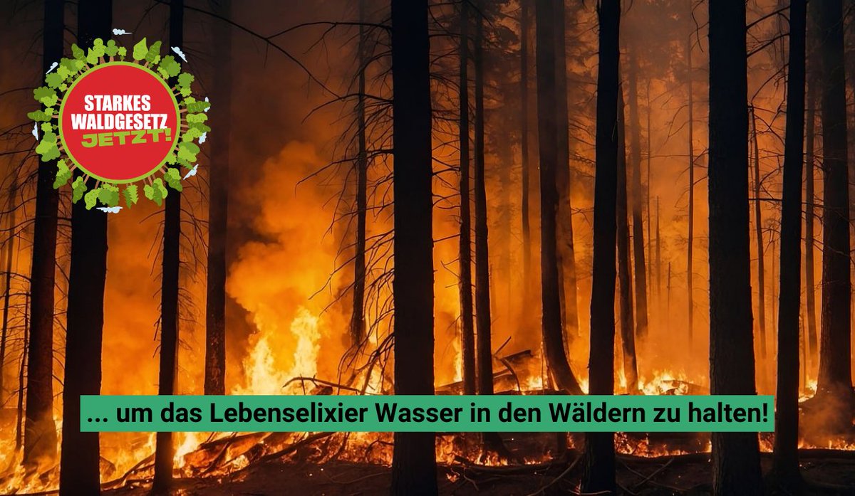naturschutzring's tweet photo. Die letzten Jahre haben uns deutlich mehr #Waldbrände heimgesucht.🔥
Wir brauchen daher ein neues starkes #Waldgesetz, welches auf mehr Wasserrückhalt in den Wäldern, eine bodenschonende Bewirtschaftung und Laubmischwälder anstatt Nadelreinbeständen setzt. 

#MehrAlsHolz https://t.co/hm0Upif8nZ