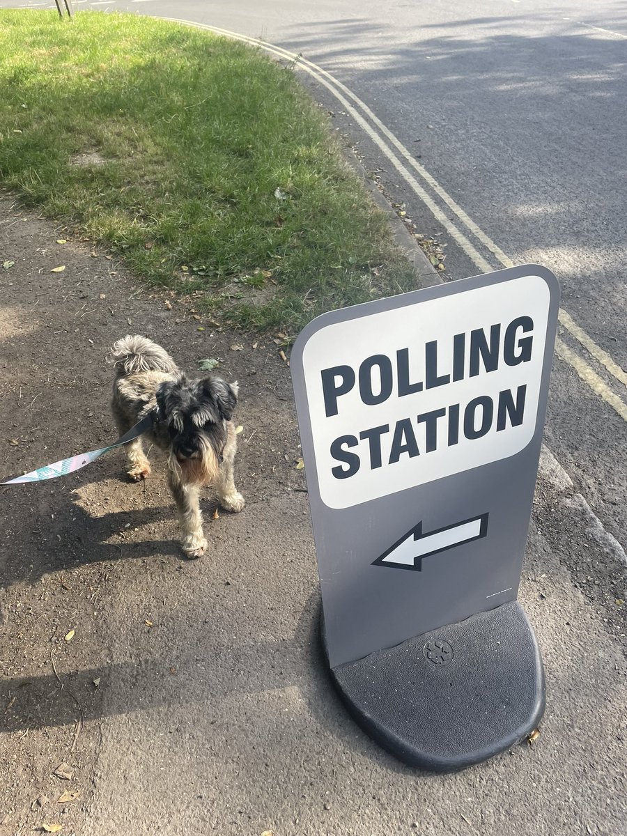 The best part of election day 🗳️ #dogsatpollingstations