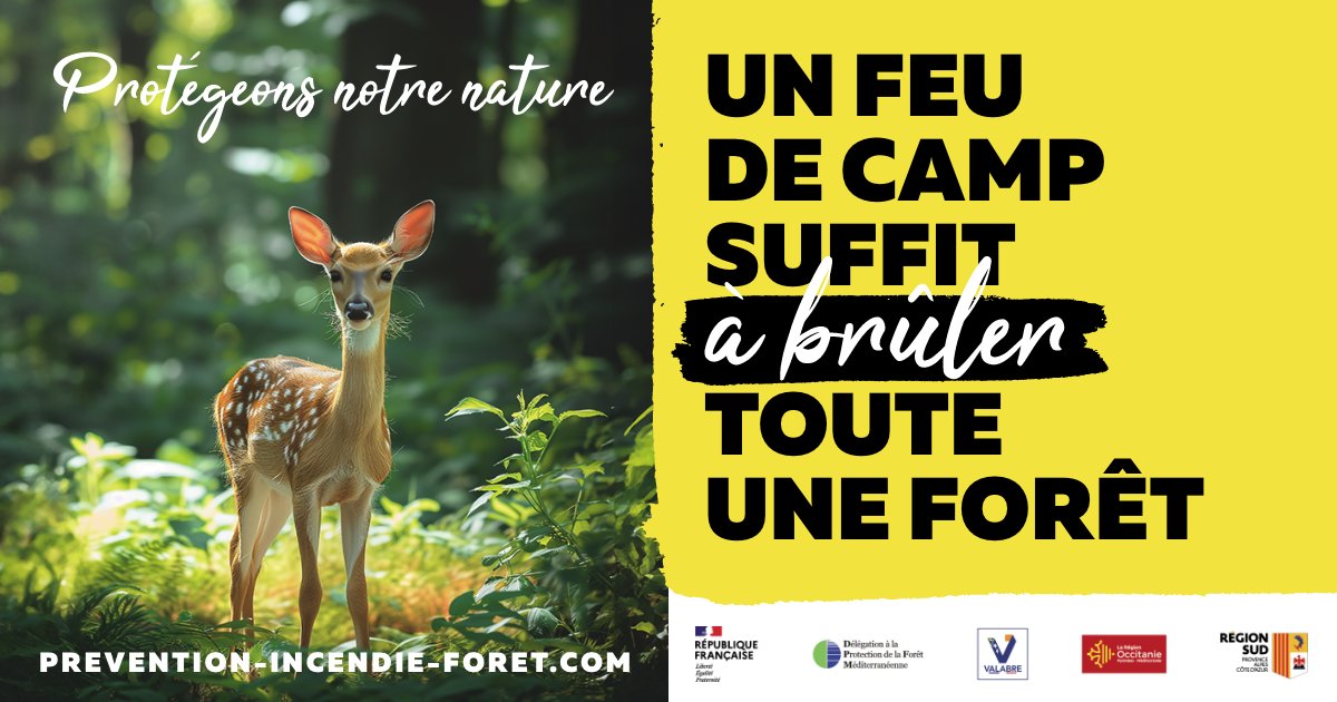 EntenteValabre's tweet image. C&apos;est beau, vert et c&apos;est vivant et cela doit le rester!
Protégeons notre nature
Message de #prévention contre les #incendies  de forêt et de végétation.
#DPFM @MaRegionSud @Occitanie @FondationVA @LesBuralistes 
prevention-incendie-foret.com