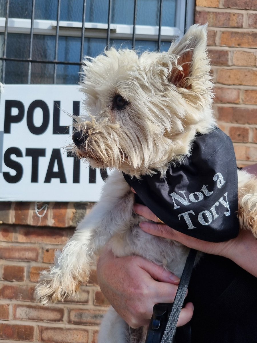 Cyberfrog Design tweet media