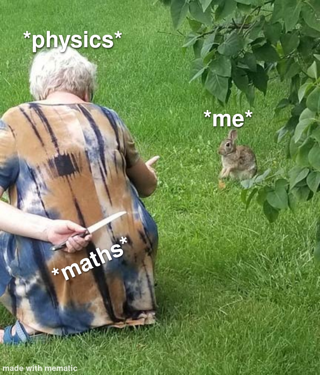 ThePhysicsMemes's tweet photo. I was lured into learning "physics" #class https://t.co/iI32cIEGm5