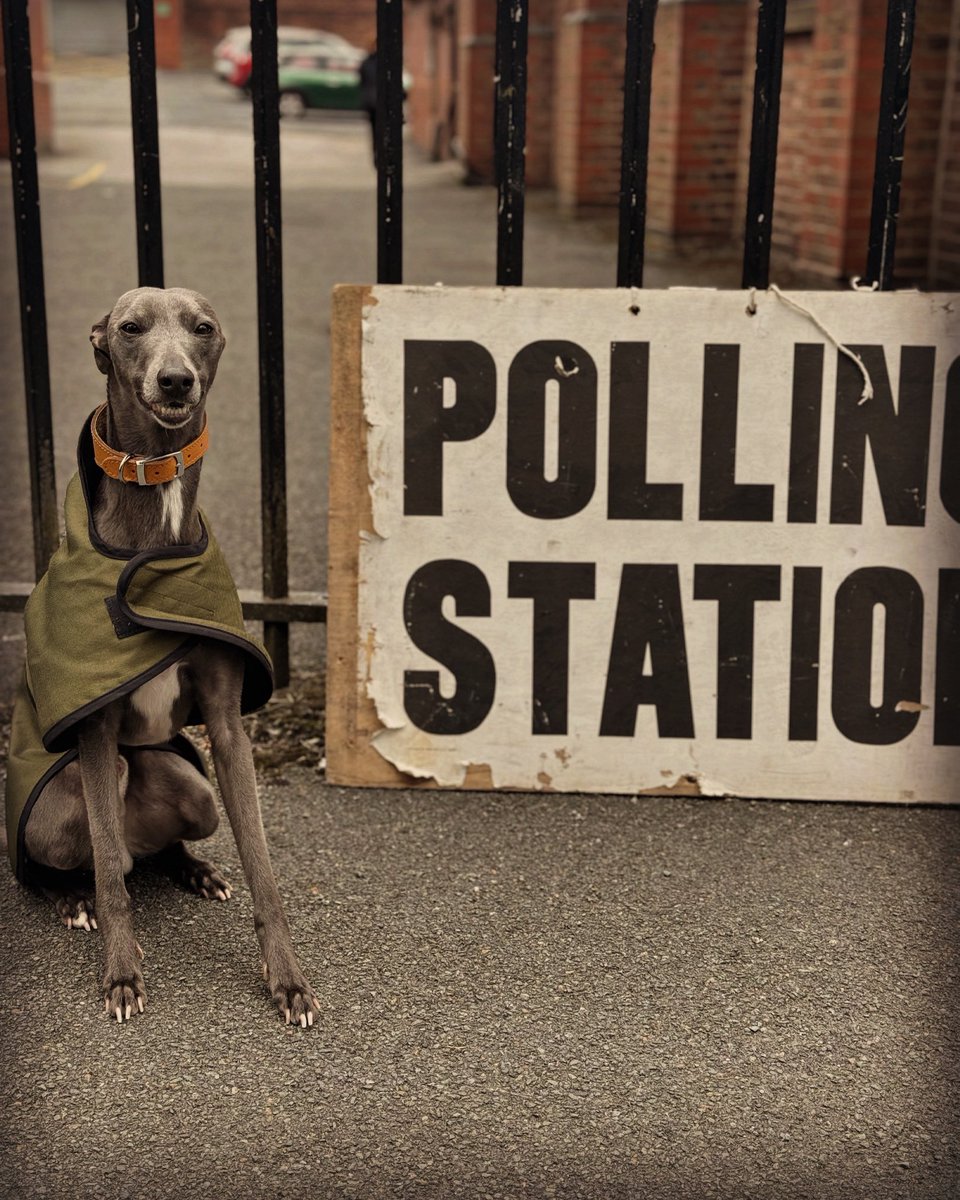 Simon_Naylor's tweet photo. Turn up, vote, use your voice for choice! ❤️🐝 #ToriesOut #BeLikeAlbi #PollingDogs #VotingDog #Mcr https://t.co/7PnNHO2bb7