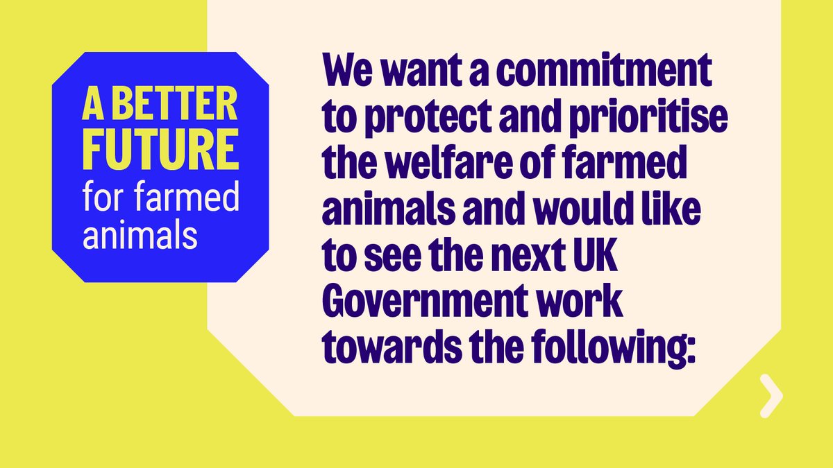 RSPCA Assured (@rspcaassured) on Twitter photo "As an animal lover and RSPCA Campaigns Manager, I'm committed to ensuring all animals are treated with kindness and respect."
Read Emily's blog to find out what <a href="/RSPCA_official/">RSPCA (England & Wales)</a> are calling for the next UK Government to prioritise: bit.ly/45QnK00
#GeneralElection2024 "As an animal lover and RSPCA Campaigns Manager, I'm committed to ensuring all animals are treated with kindness and respect."
Read Emily's blog to find out what <a href="/RSPCA_official/">RSPCA (England & Wales)</a> are calling for the next UK Government to prioritise: bit.ly/45QnK00
#GeneralElection2024