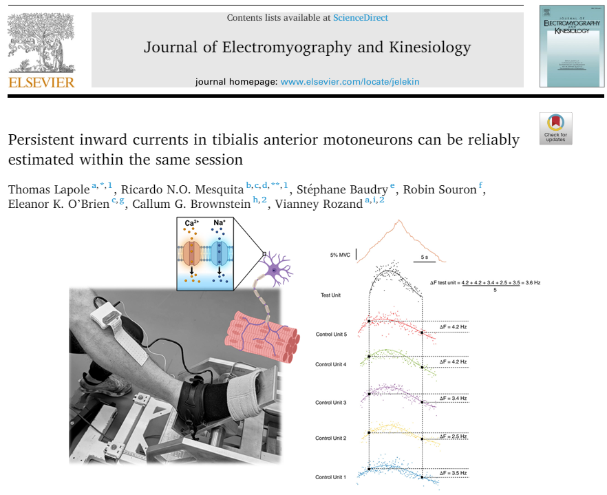 Ricardo Mesquita tweet media