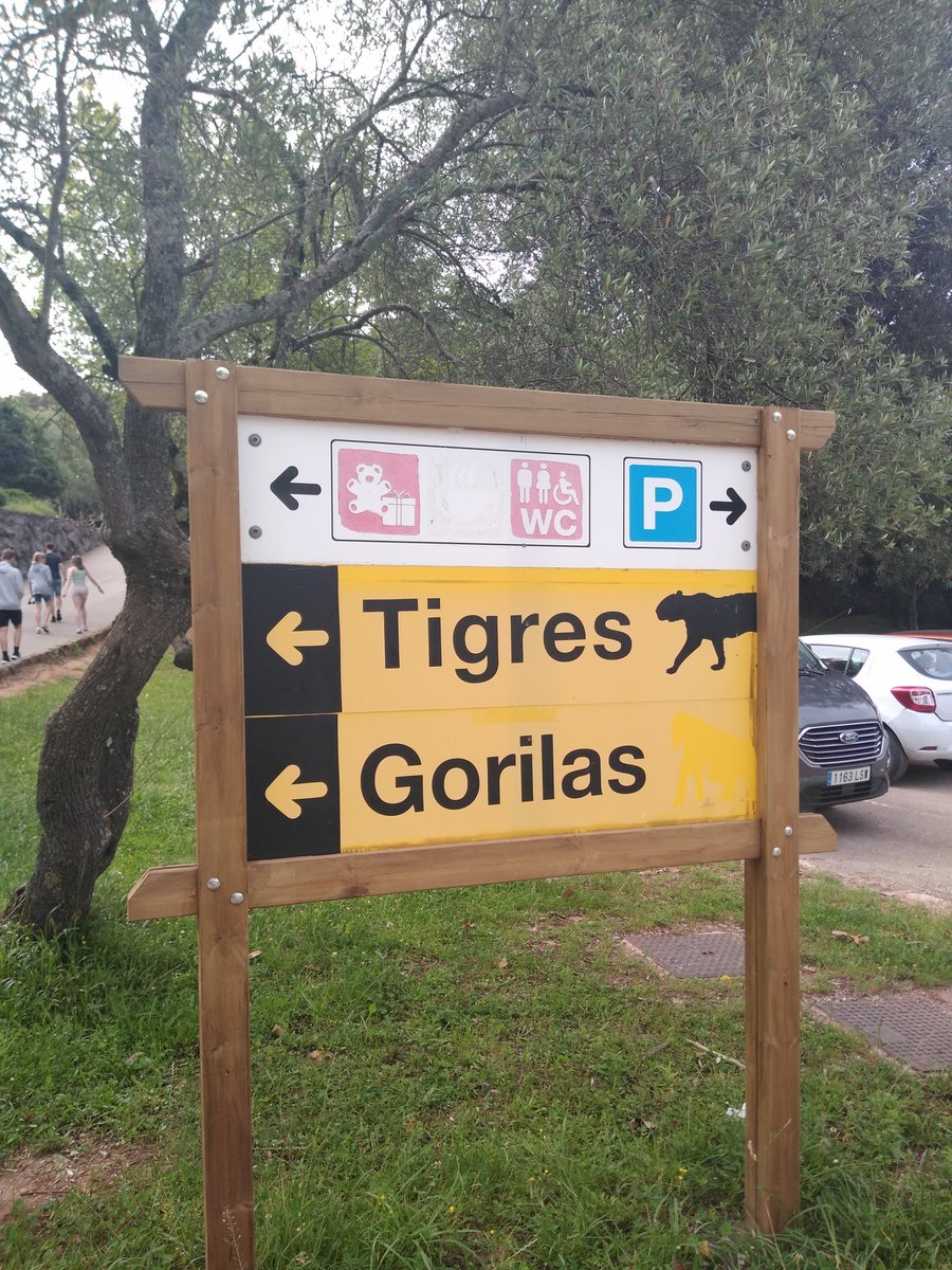 BMS_cantabria24's tweet photo. ¡Hola, buenos días! Day 3 and we've arrived at Cabárceno for our safari tour #Cantabria #EyesPeeled https://t.co/vU3c8RBada
