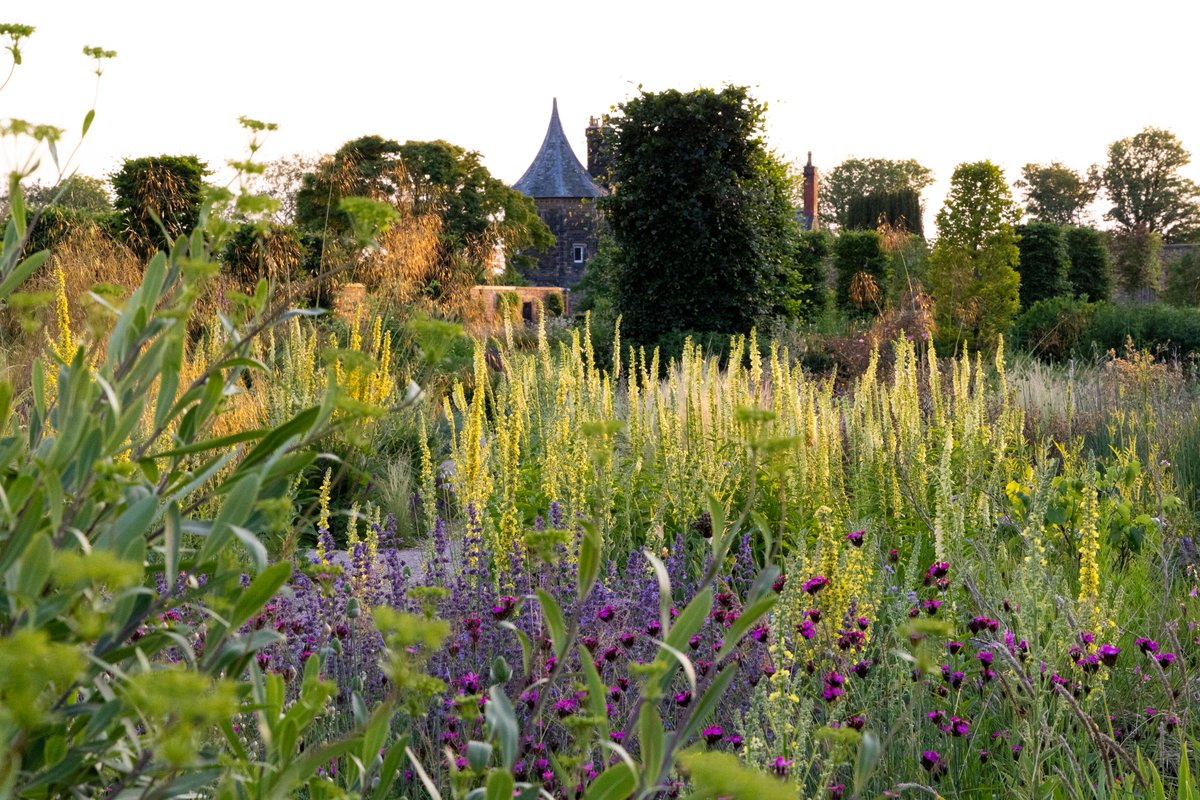 ⚠️ Garden partial closure, Thursday 4 July ⚠️
Due to forecast high wind gusts of up to 39mph, the Chinese Streamside Garden, Middle Wood and Woodland Play will be closed today. All other areas of the garden are currently open.

We apologise for any inconvenience caused