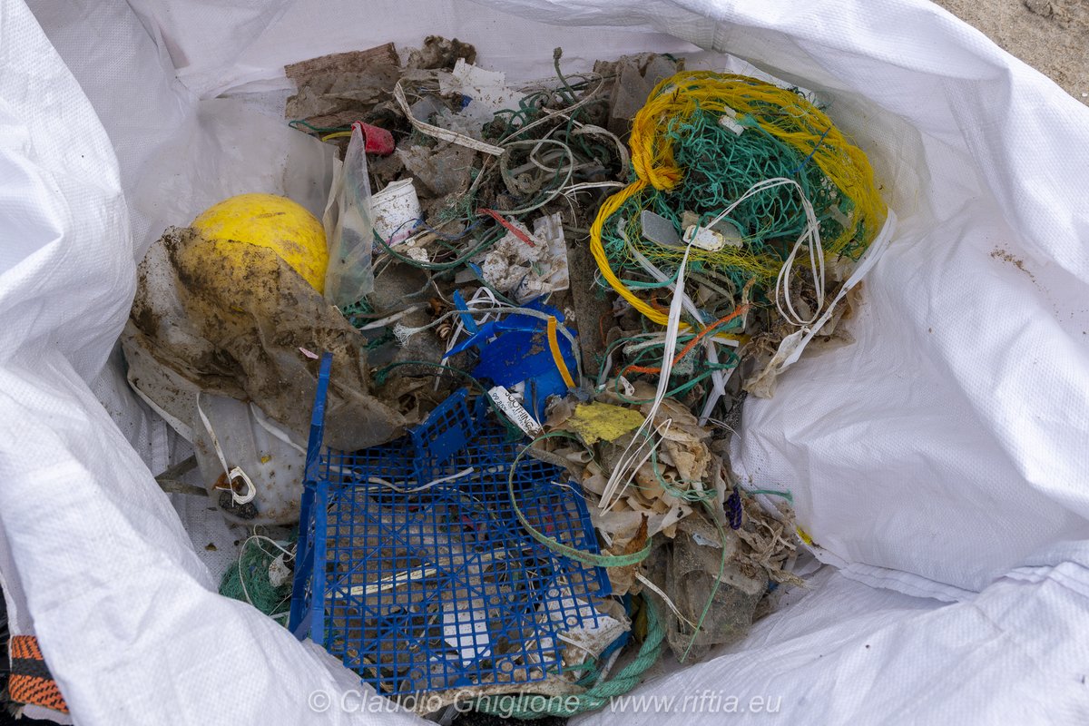 OceanwideExp's tweet photo. We did a cleanup at the #SevenIslands. At Phippsøya, we retrieved the large fishing net.
At Parryøya we found smaller pieces of debris — much more dangerous for marine life and the environment! #Svalbard
Read more about our cleanups: https://t.co/UlcRXpxYef
📷 by @Claudio_Ghi https://t.co/EiCf1172KG