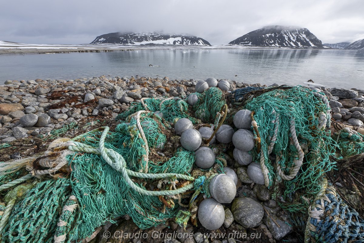 OceanwideExp's tweet photo. We did a cleanup at the #SevenIslands. At Phippsøya, we retrieved the large fishing net.
At Parryøya we found smaller pieces of debris — much more dangerous for marine life and the environment! #Svalbard
Read more about our cleanups: https://t.co/UlcRXpxYef
📷 by @Claudio_Ghi https://t.co/EiCf1172KG