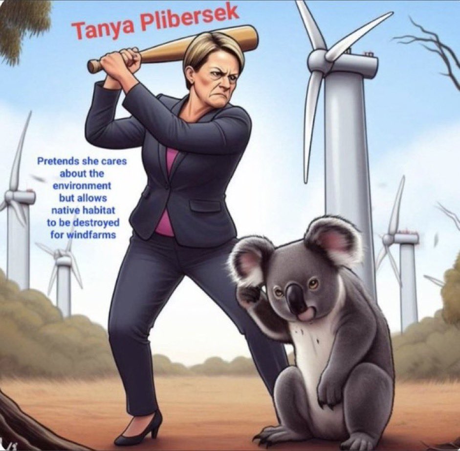 rn_lilydale's tweet photo. @tanya_plibersek BUT #ZeroShits when it comes to #Windfarms & #SolarFarms ….right? https://t.co/hSRr0hXsKi