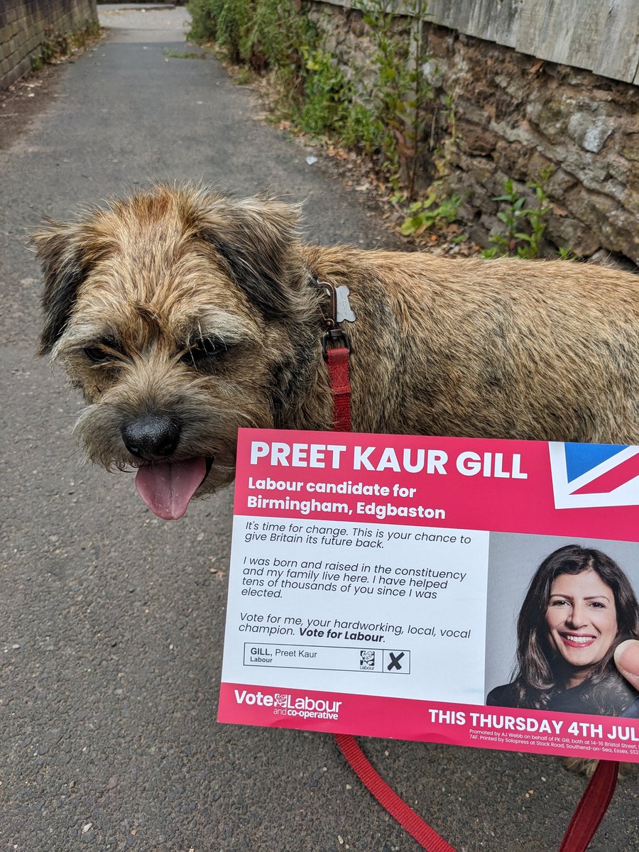 richwmoore's tweet photo. Getting out the vote with Arthur 🐾🌹#votelabour

Last delivery walk of the campaign for Arthur.

@PreetKGillMP 
@edgbastonCLP https://t.co/GPwGNBBmja