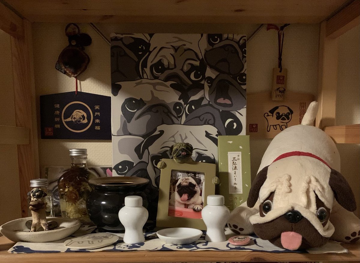 愛する天使のまる🫶
お誕生日おめでとう🎉