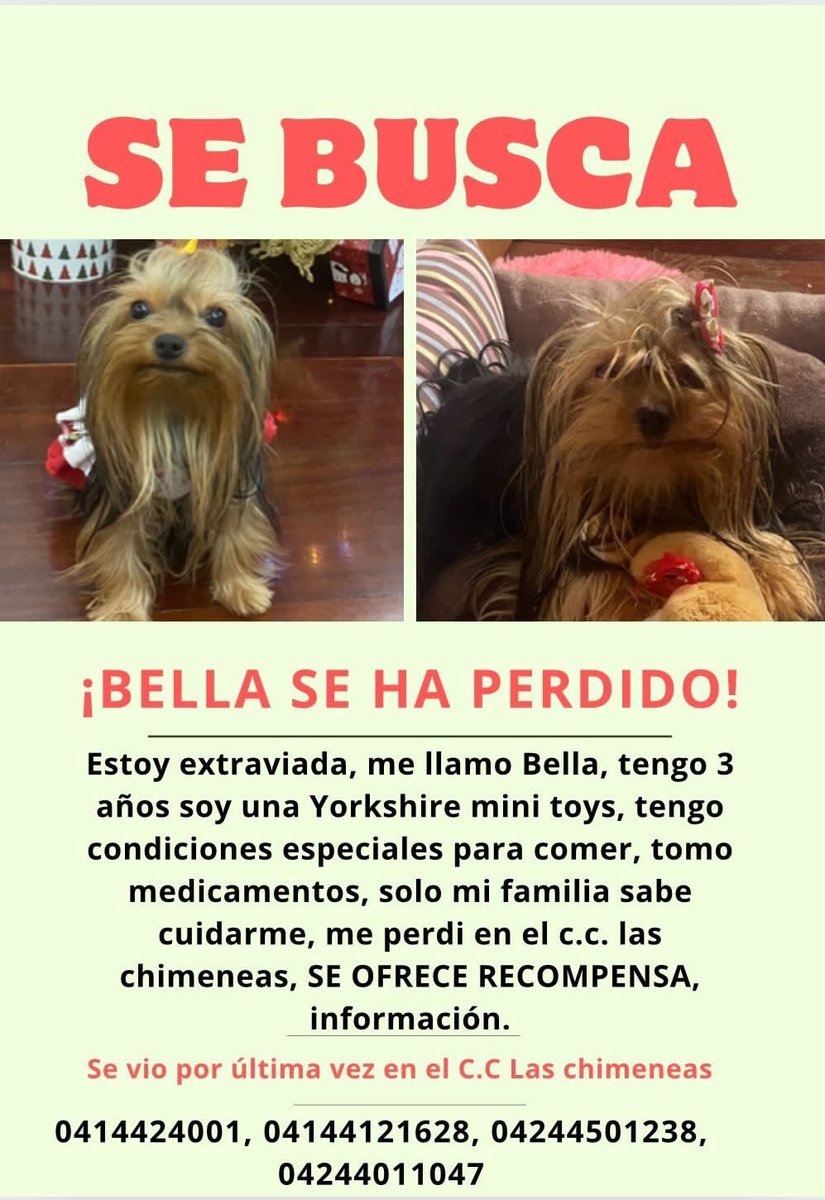 kchorrospa's tweet photo. 🚨¡Alerta!🚨

Leer detenidamente la publicación y tomar precaución. 🤯🧐

@SandyaveledoC 

#Laschimeneas #Valencia #Trigal https://t.co/UT9tDnEPlP