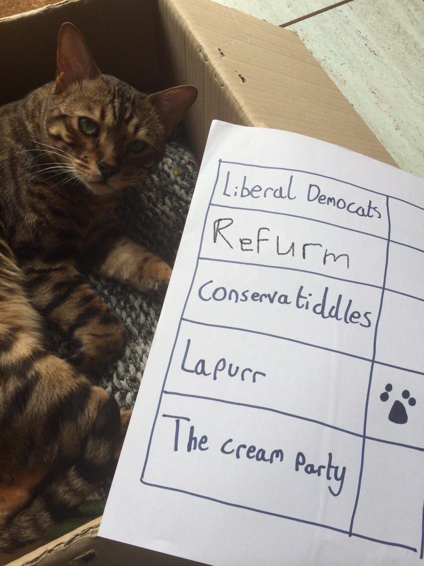 In the interest of balance on General Election Day I must remind you that…

…while there may indeed be #DogsAtPollingStations

…only #CatsCastVotes 😺

#GeneralElection2024