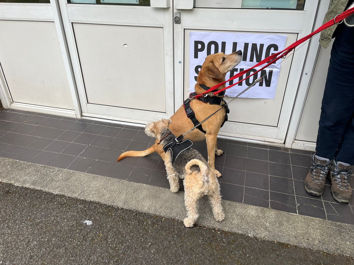 NSGhavoc's tweet photo. #dogsatpollingstations #SuttonColdfield https://t.co/UhhEc6Btgj