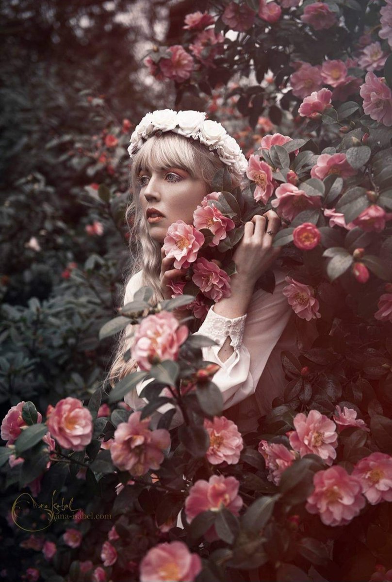 GM frens! ☀️

Been busy with packing for my move to Scotland and with my Front-End Developer course, so haven't been here in the last few days.

Hope you are well! ❤️