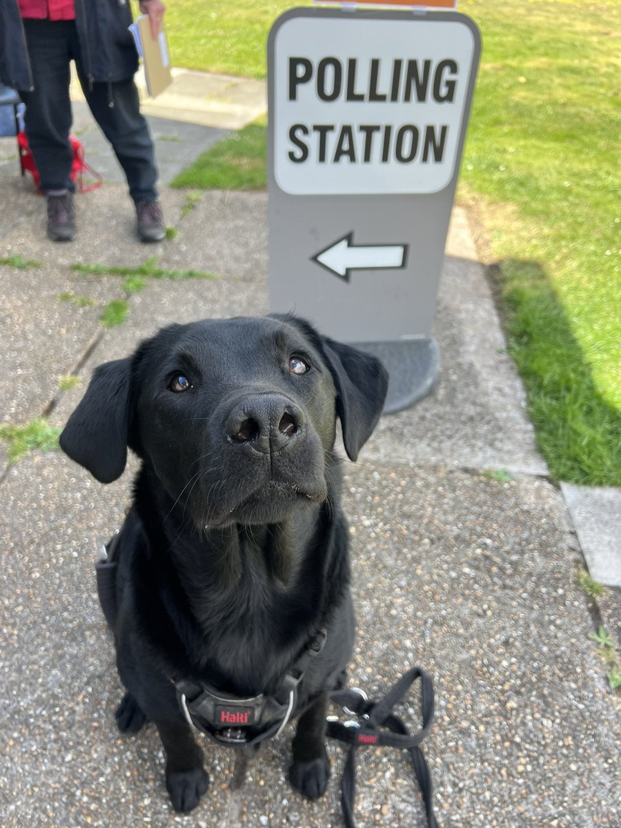 #dogsatpollingstations