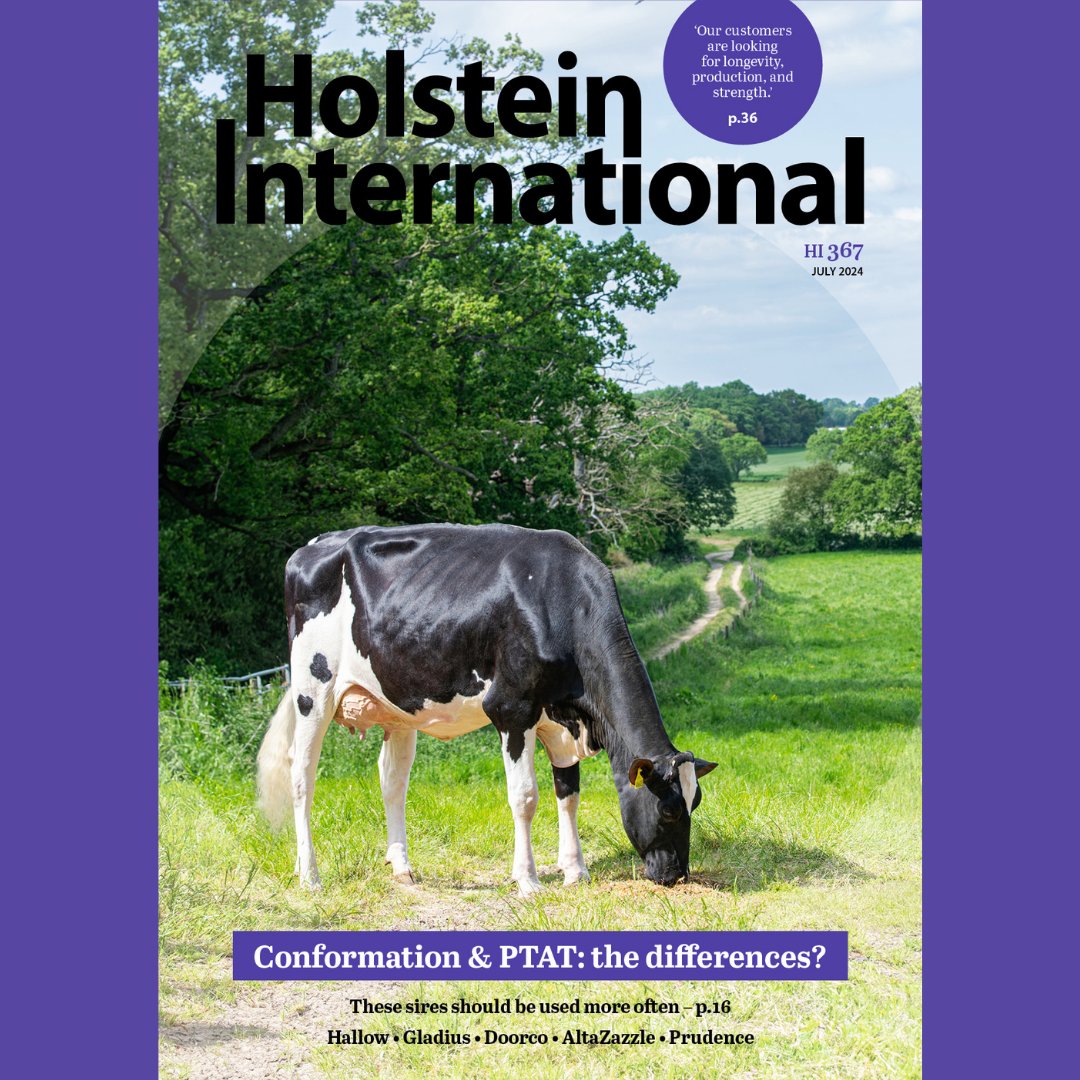 Holstein International tweet media