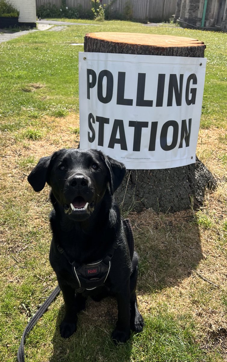 #dogsatpollingstations Ziggy’s first general election.

Big smile for big changes…