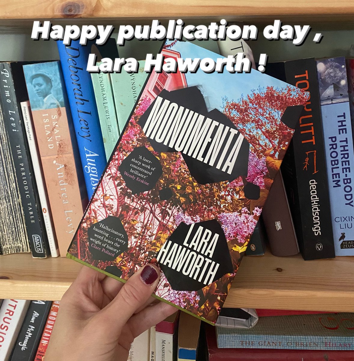 Go <a href="/lara_haworth/">Lara Haworth</a> ! A brilliant, lyrical, genre defying novel. It’s got fabulous characters all trying to grapple with loss &amp; love. There are ghosts &amp; dreams &amp; of course monuments. How do we address and acknowledge the past privately and publicly? Buy it and find out! Then vote!