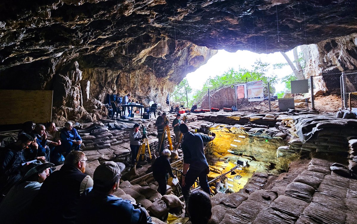 Lynne Quick tweet media