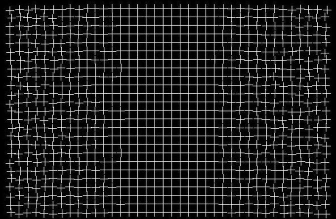 Rainmaker1973's tweet image. Created in 2005 by Ryota Kanai, the so called healing grid has less regular pattern at the peripheral parts. 

If you stare at the center, the irregularities start to heal themselves because your brain strongly prefers to see regular patterns.