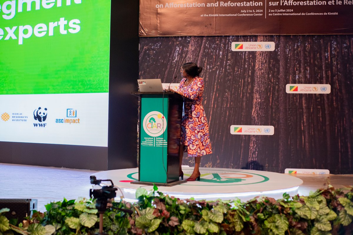 Ciar_Damar's tweet photo. Retour en images de la deuxième journée de la Conférence Internationale de l'Afforestation et du Reboisement (CIAR)- Première édition.
#CIAR2024 #Reboisement #Afforestation #Biodiversité #ChangementClimatique #cop27 #congobrazzaville242 https://t.co/UrF97bVZOY
