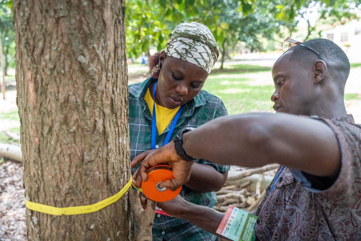 OpenForis's tweet image. FAO &amp;amp; @csirforig workshop on #ForestData &amp;amp; drivers for deforestation with 60 experts from 15 @ecowas_cedeao countries in #Ghana. 🌳
Arena training conducted to enhance forest data processing⚠️Sierra Leone to use #Arena &amp;amp; #ArenaMobile for their upcoming national forest inventory!