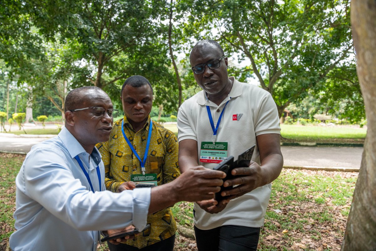 OpenForis's tweet image. FAO &amp;amp; @csirforig workshop on #ForestData &amp;amp; drivers for deforestation with 60 experts from 15 @ecowas_cedeao countries in #Ghana. 🌳
Arena training conducted to enhance forest data processing⚠️Sierra Leone to use #Arena &amp;amp; #ArenaMobile for their upcoming national forest inventory!