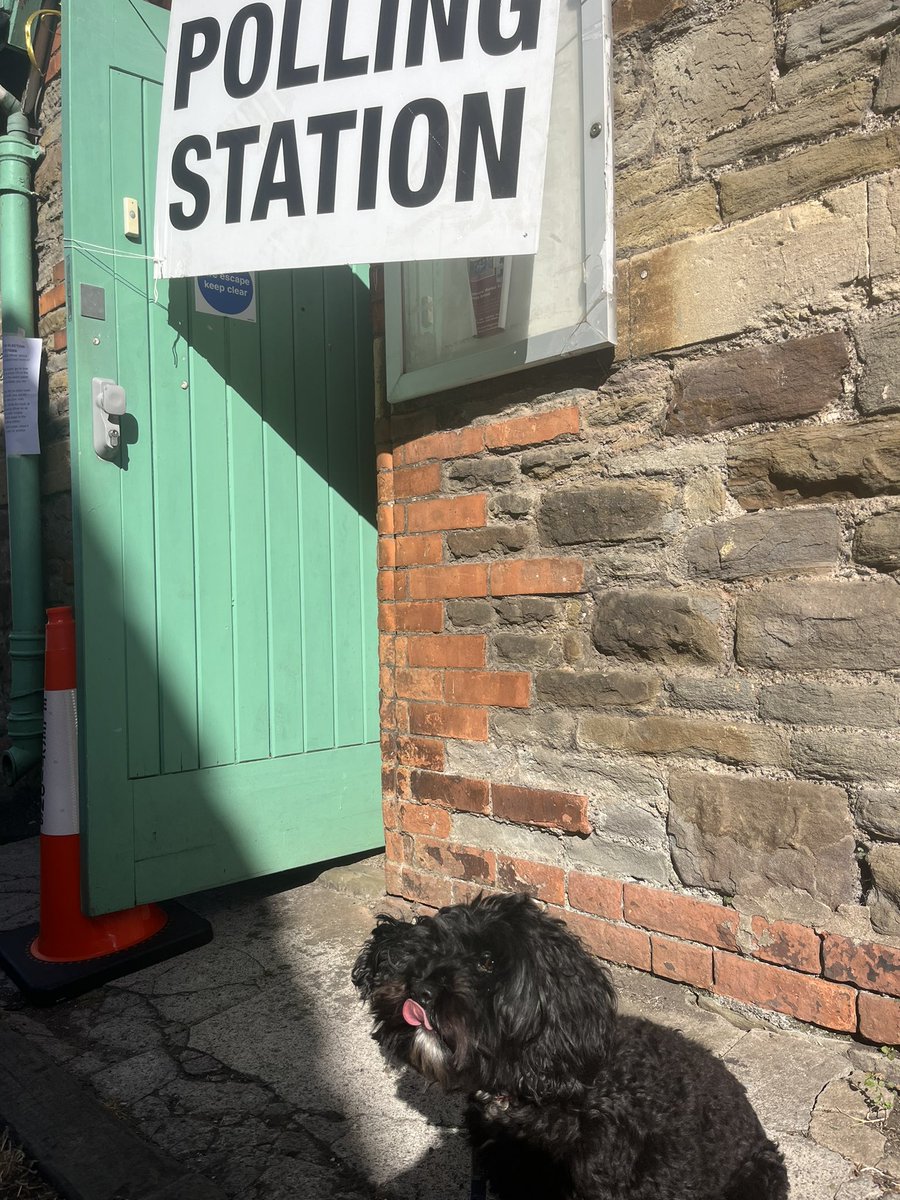 pollyj99's tweet photo. Suns out, tongues out #dogsatpollingstations https://t.co/E3NH7cdVop