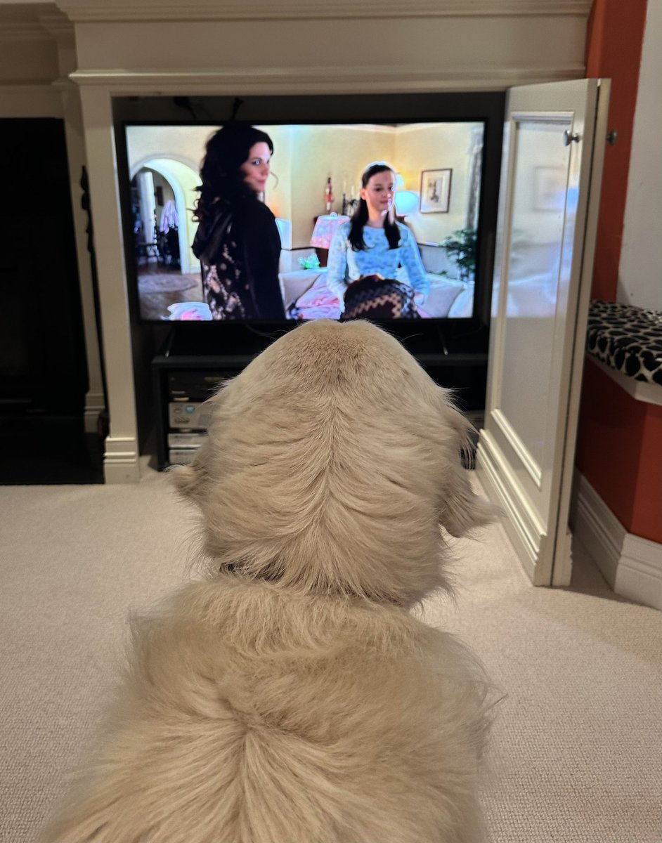 Found a friend to rewatch Gilmore Girls with 😍