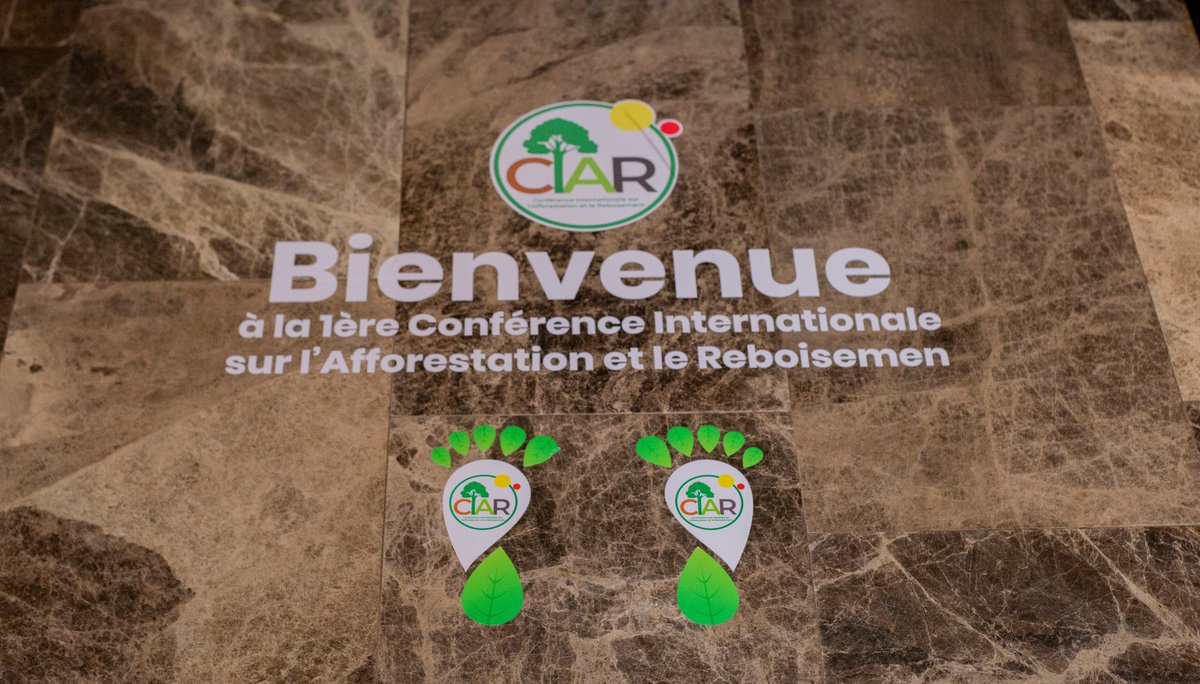 Ciar_Damar's tweet photo. Retour en images de la deuxième journée de la Conférence Internationale de l'Afforestation et du Reboisement (CIAR)- Première édition.
#CIAR2024 #Reboisement #Afforestation #Biodiversité #ChangementClimatique #cop27 #congobrazzaville242 https://t.co/1o5tY9RywN