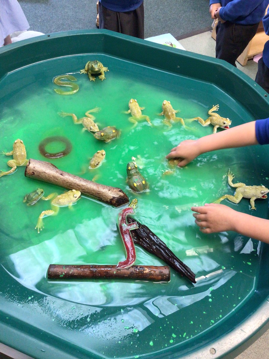 HighBankJIN_EY's tweet photo. A green swamp filled with frogs for a lovely boy who loves frogs 💚 https://t.co/PleF4RQLpk