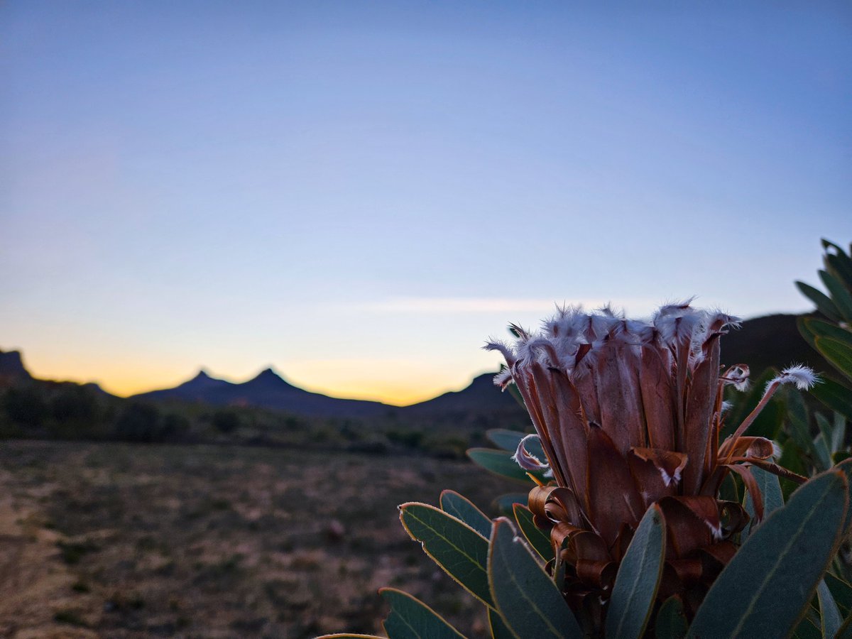 Lynne Quick tweet media