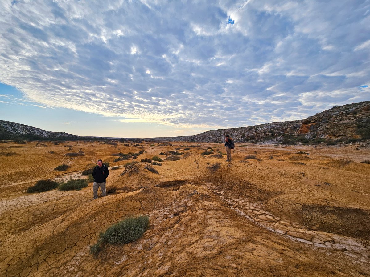 Lynne Quick tweet media