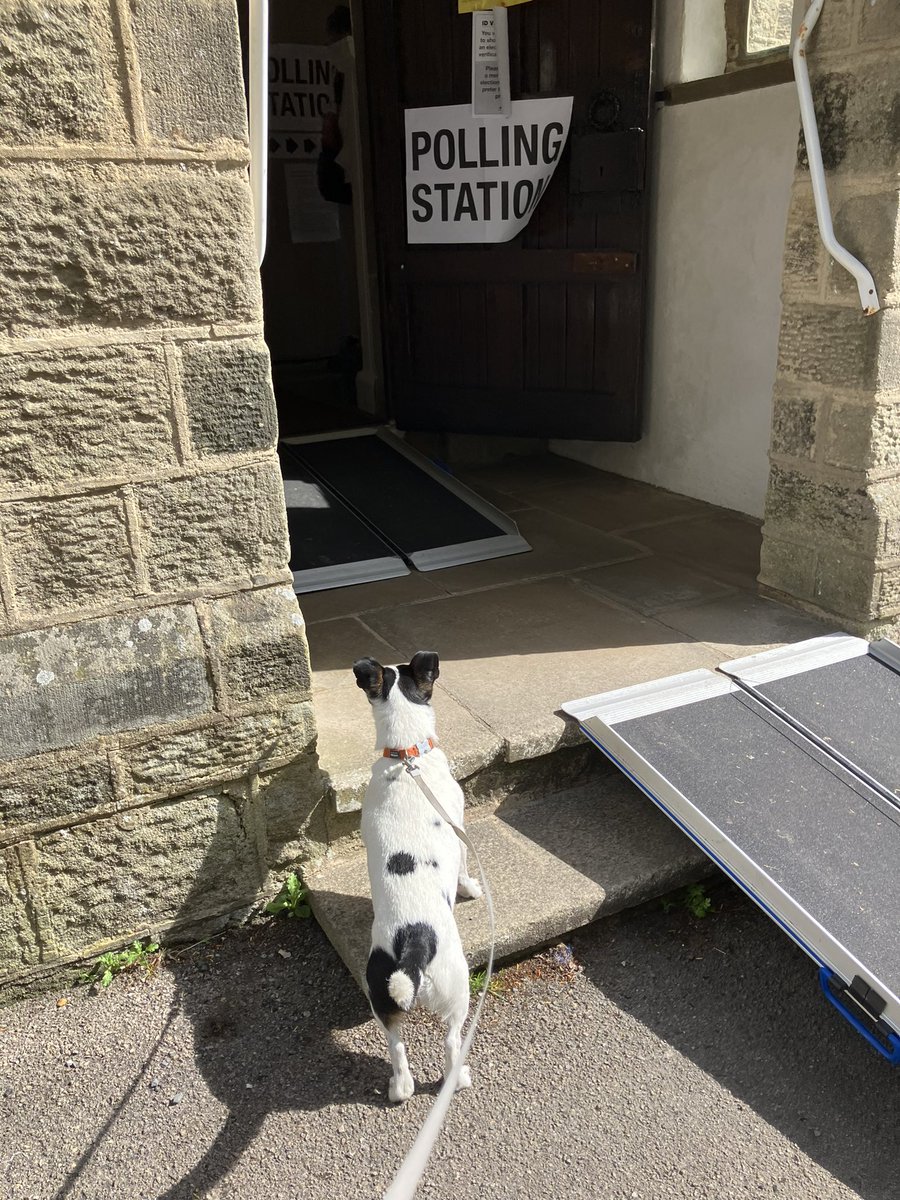 Desperate for a change or looking for a church hall mouse? 

#dogsatpollingstations
