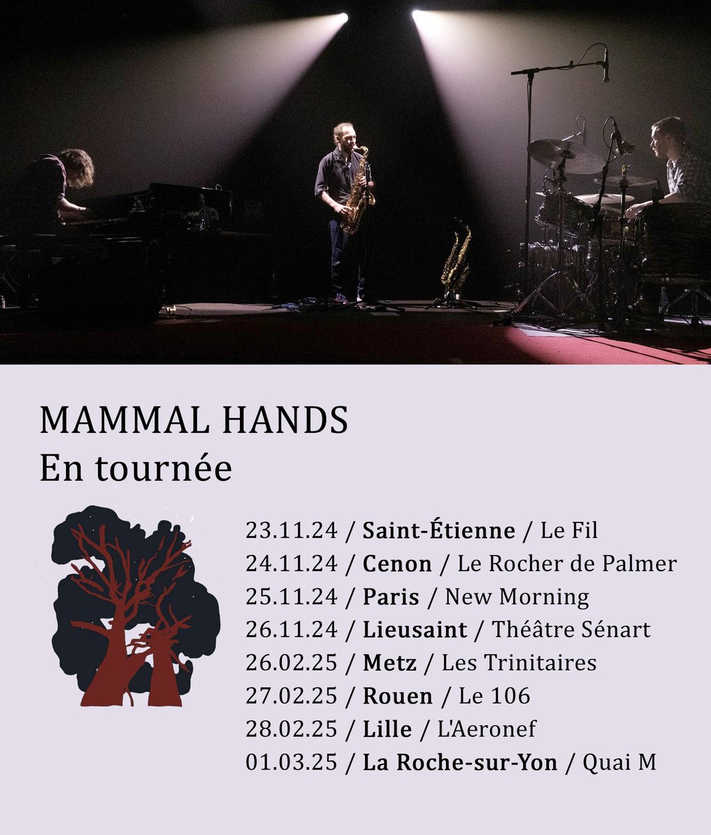 Really glad to be returning to France later this year and in 2025! Tickets from the previous rescheduled dates are still valid for these shows and new tickets are now available at mammalhands.com
À bientôt!
