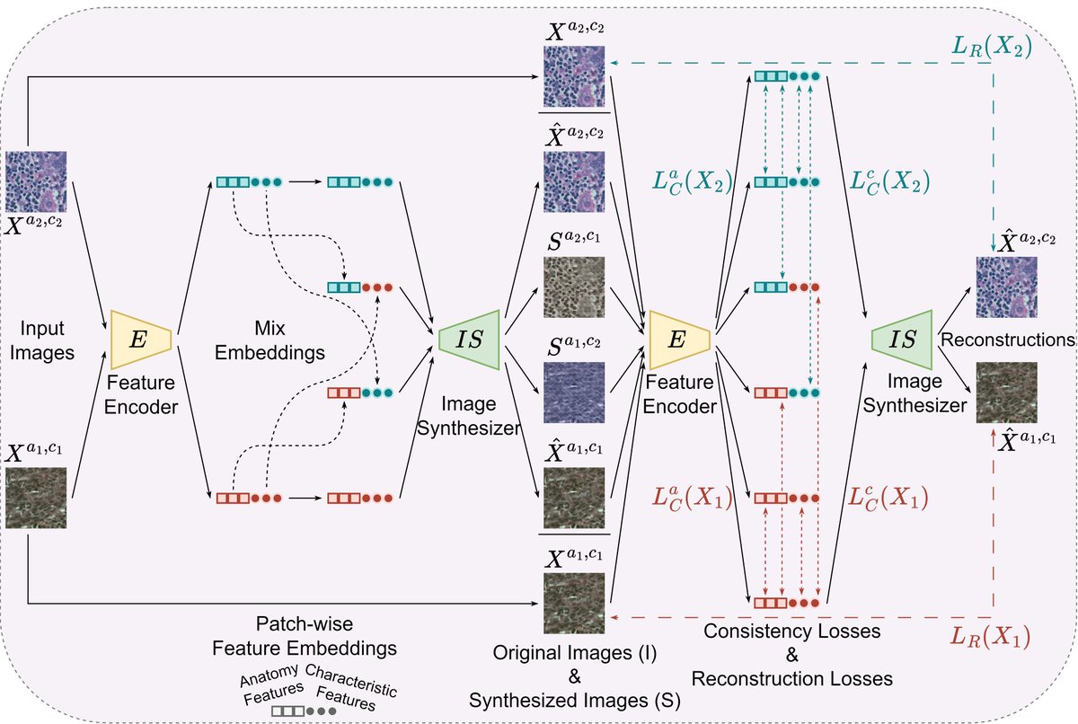 Sebastian Doerrich tweet media