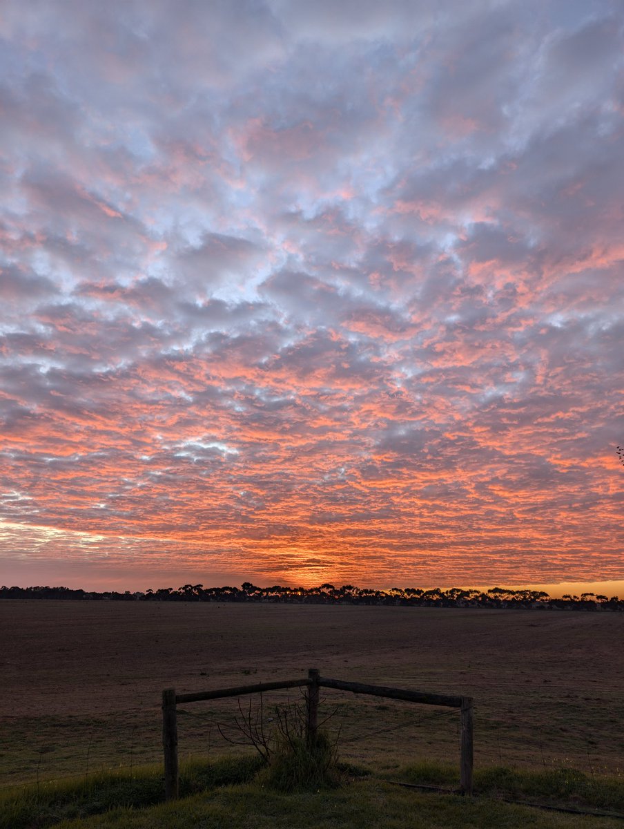 I reach out for I don't know what...

It reaches back

Subbo