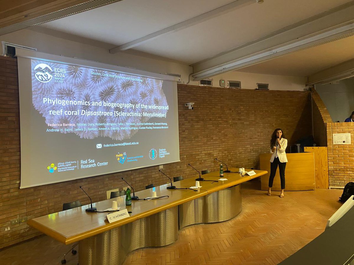 Next was our Fede who brought us around the oceans with the genus Dipsastrea 

<a href="/Ecrs2024/">ECRS 2024</a> #ecrs2024